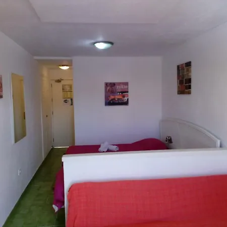 Happy Holidays In Apartment